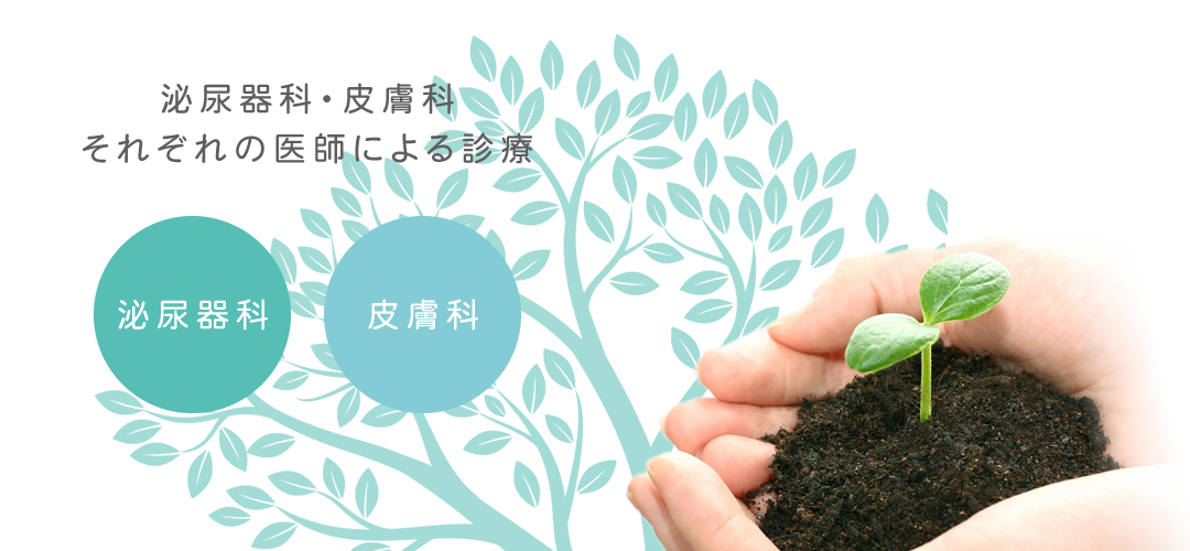 泌尿器科・皮膚科それぞれの医師による診療 泌尿器科 皮膚科